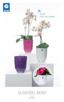 CACHE POT ORCHIDEE