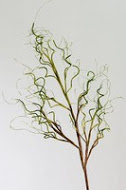 branche décorative verte